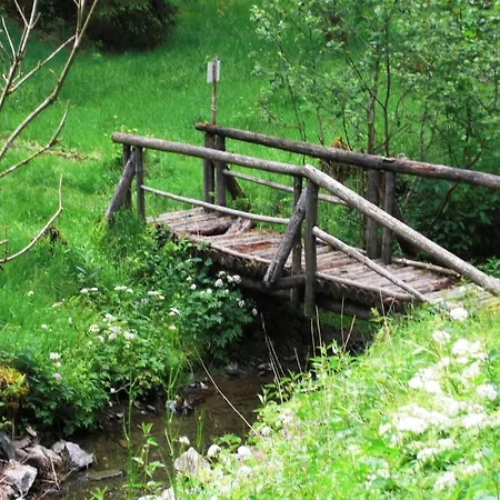 In The Gro Breitenbach Altenfeld (Thuringia)