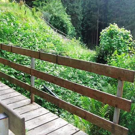 In Thuringian Forest Retreat