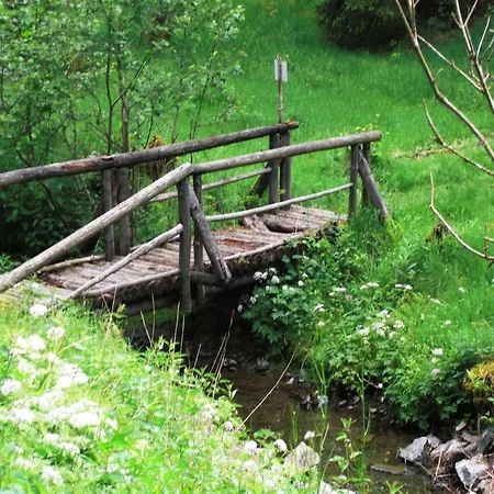 In Thuringian Forest Retreat Altenfeld (Thuringia)
