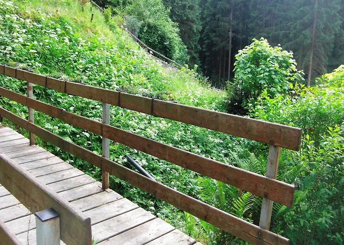 In Thuringian Forest Retreat