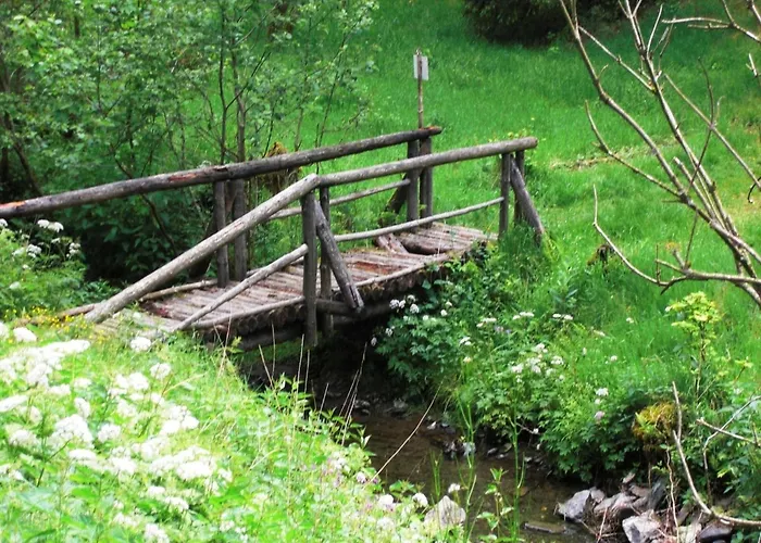 In Thuringian Forest Retreat Altenfeld (Thuringia)